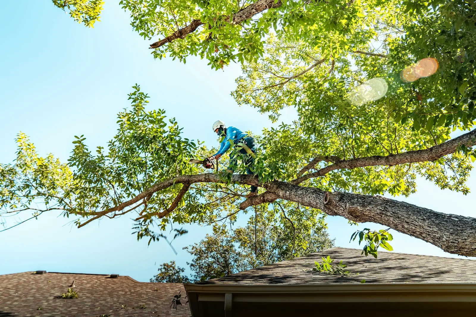 Tree trimming above a home
